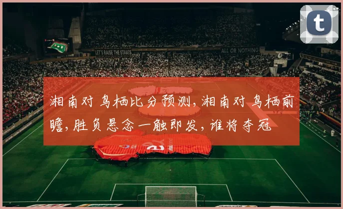 湘南对鸟栖比分预测,湘南对鸟栖前瞻,胜负悬念一触即发,谁将夺冠
