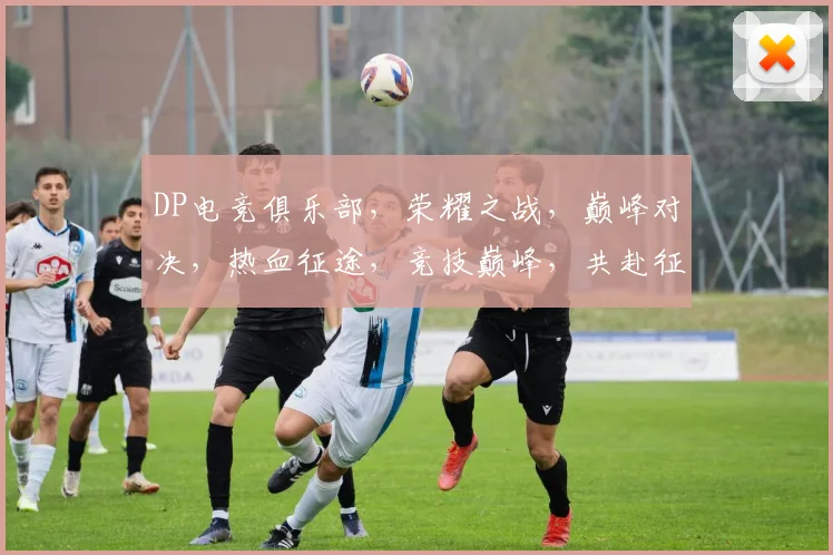DP电竞俱乐部，荣耀之战，巅峰对决，热血征途，竞技巅峰，共赴征程