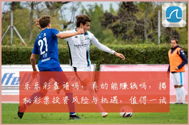 乐乐彩靠谱吗，真的能赚钱吗，揭秘彩票投资风险与机遇，值得一试